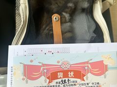 -瑞派天使宠物医院·神经外科·骨科·核磁(洛川中路店)