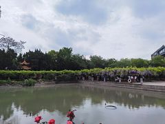 -嘉定紫藤园