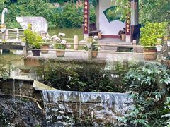 -黔灵山公园