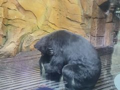 -波塞冬海底世界
