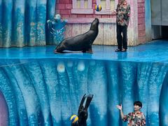 -华夏文旅海洋公园