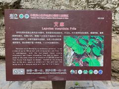 -野三坡百里峡景区