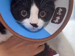 -瑞派福兴宠物医院犬猫全科·骨科·中西医结合(河东店)