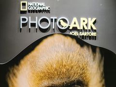 -珠海横琴国家地理探险家中心(创新方)