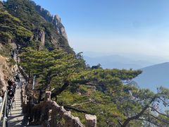 -黄山风景区