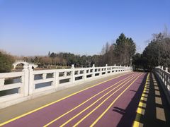 -尚贤河湿地