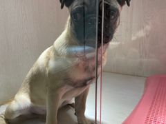 -乐宠宠物店(世纪金源店)