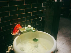 -董家湾重庆老火锅(嘉华店)
