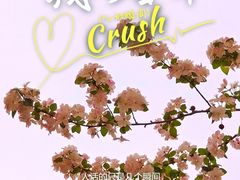 -海棠花溪(元大都城垣遗址公园)