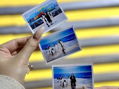 -大连老虎滩海洋公园