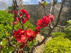 -玉雪春天(中正花园店)