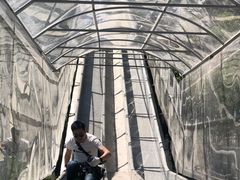 -中华福寿山