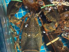 -驻海渔市(置信店)