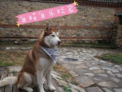 -北京山里寒舍度假酒店