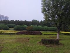 -滨河世纪广场公园