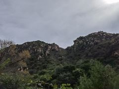 -大岭沟猕猴桃谷风景区