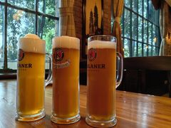 -宝莱纳啤酒花园餐厅PAULANER BRAUHAUS Nanjing(广州路店)