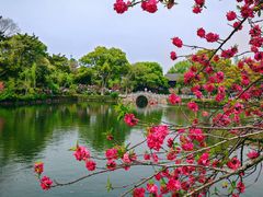 -无锡蠡湖国家湿地公园-蠡园