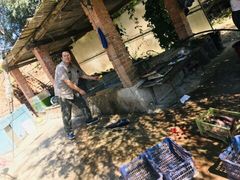 -姥家大锅台水库渔家
