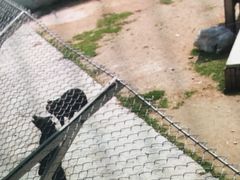 -石家庄市动物园