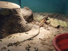 -新疆天山野生动物园