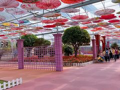 -广东花都香草世界旅游度假区