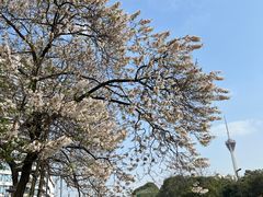 -红星桥(地铁站)
