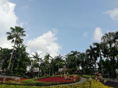 -东芭乐园