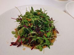 -茗鼎汇(星方汇广场店)
