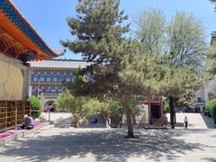 -西宁市东关清真大寺