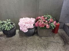 -茶与花间(太平洋森活天地店)