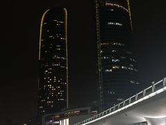 -演武大桥观景平台