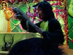 -上海大自然野生昆虫馆(东方明珠·爬宠昆虫探索中心)