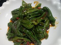 -丁老爷子苏香圆