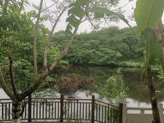 -重庆彩云湖湿地公园