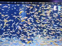 -成都浩海立方海洋公园