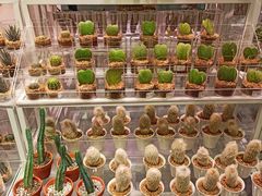 -KKV(深圳宏发大仟里店)