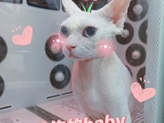 -爱派特动物医院·全科诊疗中心