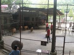 -石燕湖生态旅游景区