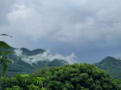-广州市石门国家森林公园