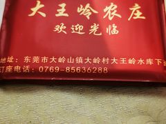 -大王岭农庄