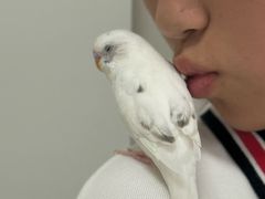 -雨林宠物医院 非犬猫异宠专科