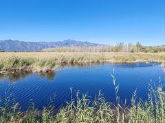 -野鸭湖国家湿地公园