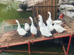 -长安大学(北校区)