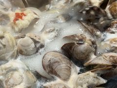 -水哥卜卜贝(东晓·胜汇里店)