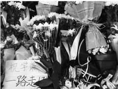 -上海市世外小学