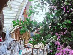 -疯狂屋