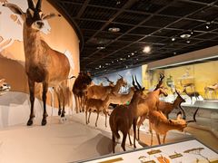 -陕西自然博物馆