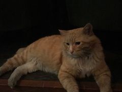 -HUNTING BAR亨霆鸡尾酒馆(越秀淘金店)