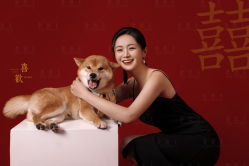 -金公主婚纱摄影(和平店)